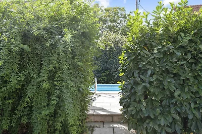 One-Bedroom Apartment With Pool