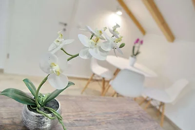 Holiday flat family holiday Dubrovnik & Vicinity