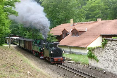 2 "Lößnitzgrund"