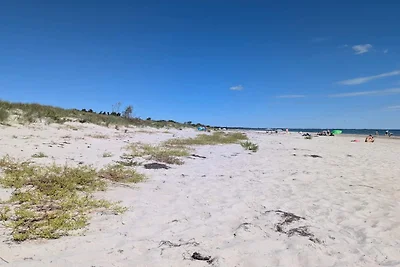 4 Sterne Ferienhaus in Væggerløse