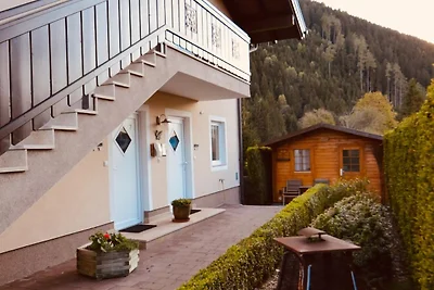 Apartment mit Terrasse in Hollersbach
