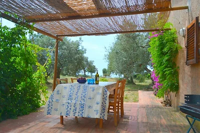 Comfortabel Vakantiehuis met Tuin