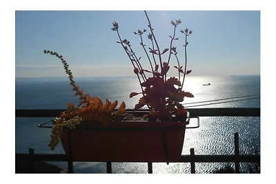 APPARTEMENT TRIESTE NATASCIA