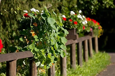 Chalet in Reinskopf met Open Haard en Balkon