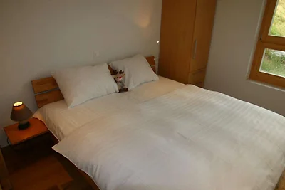 Üppiges Apartment mit Spa