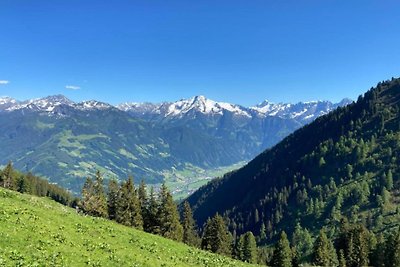 Ferienhaus auf der Alm mit Terrasse