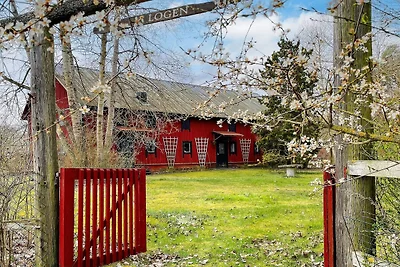 6 Personen Ferienhaus in Katthammarsvik