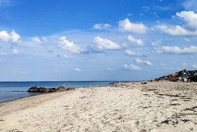 9 Personen Ferienhaus in Otterup-By Traum