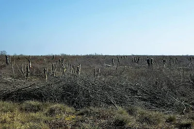 6 Personen Ferienhaus in Storvorde-By Traum