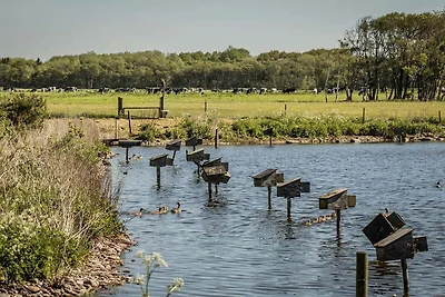4 sterren vakantie huis in Aabybro