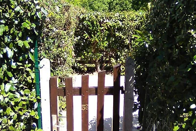 Paradise Ocean Residence