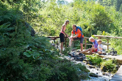 Wohnung in Bramberg am Wildkogel