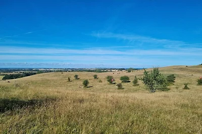 4 Personen Ferienhaus in Borre-By Traum