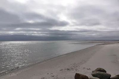 6 persone case ad Asaa-By Traum