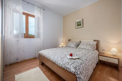 Seaside apartment with jacuzzi in Drenje