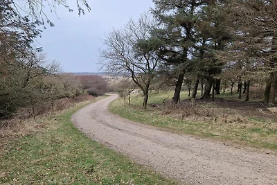 6 Personen Ferienhaus in Spøttrup-By Traum