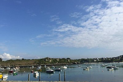 Panoramisch zeezicht, vakantiehuis, Ploudalmé...