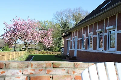 Vakantieappartement met 1 slaapkamer