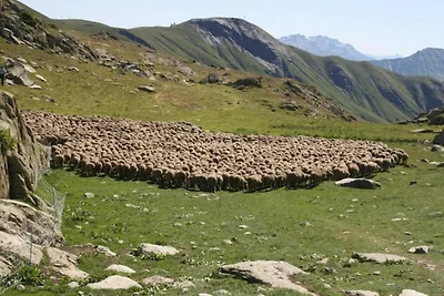 Appartement nabij het Nationaal Park Ecrins