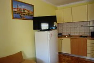 One Bedroom Apartment withTerrace-A4