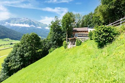 Alpine Ferienwohnung in Bramberg am Wildkogel...