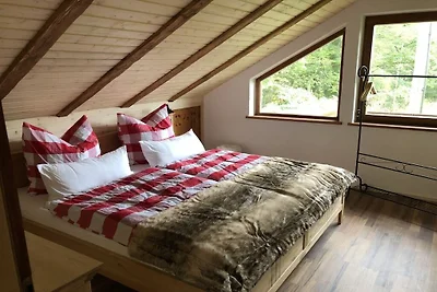 Voor uw vakantie met uw hond