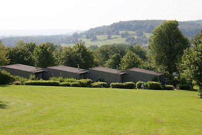 Fijne bungalow met sauna en bubbelbad, op een...