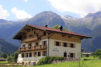 Appartment Plattenkogel in Krimml