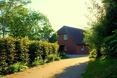 Land und Meer: Land/EG