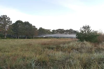 Luxus-Poolvilla Marielyst