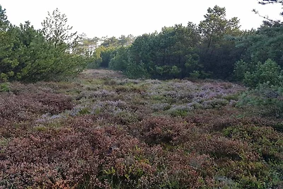 12 persoons vakantie huis in Tarm-By Traum