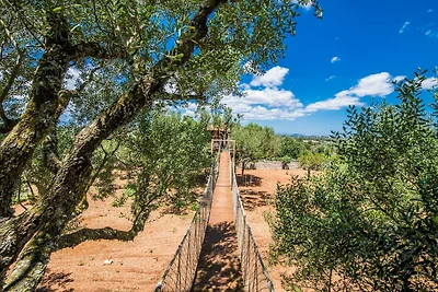 Ländliches Landhaus auf Mallorca