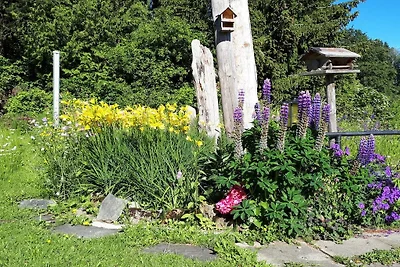 A dream holiday at Lake Sihl