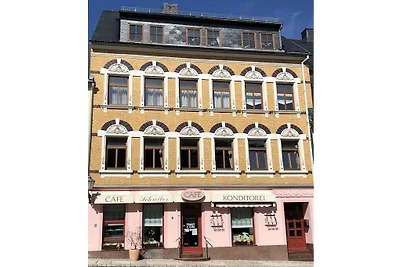 Vakantieappartement in Schlettau met wifi