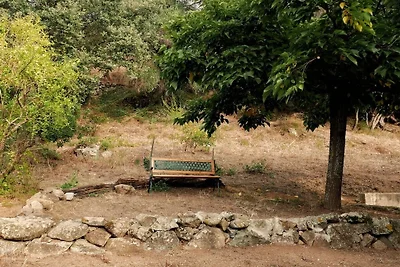 Maison de vacances à Aregno avec piscine