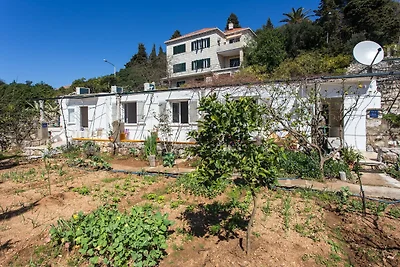 Apartments Ljubimir - Comfort One-Bedroom Apa...