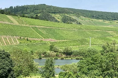 Uitzicht op kasteel Pünderich