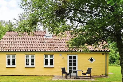 5 gwiazdkowy apartament w Skagen