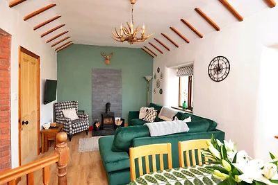 Mooi vakantiehuis in Denbigh, Geen storting