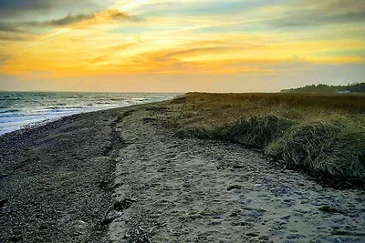 24 Personen Ferienhaus in Øster Assels