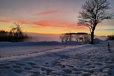 Vakantiehuis bij de skilift