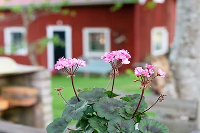 2 osob apartament w NÄSSJÖ