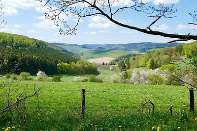 Wohnung nahe Skigebiet in Neuastenberg