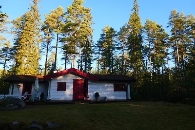 Holiday home in Vimmerby with swimming pool