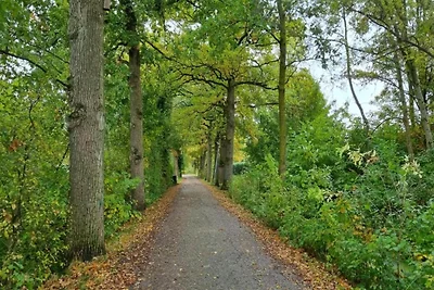 Premium-Waldrefugium in Broeckhuys