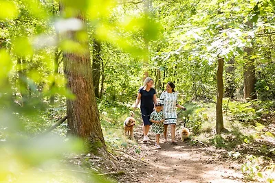 Direkte Umgebung (Sommer) (<1 km) Direkte Umgebung (Sommer) (<1 km)