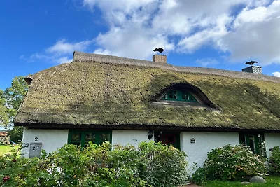 Reihenhaus Vieregge in Deutschland mit...
