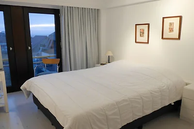Appartement in Nieuwpoort met zeezicht