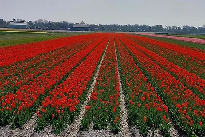 Gemütliches Ferienhaus in Strandnähe