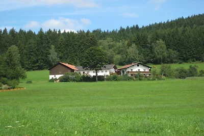Ferienwohnung mit 1 Schlafzimmer